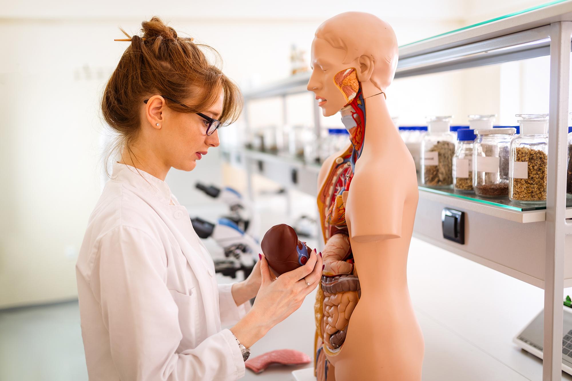 Woman looking at organs in lab class.